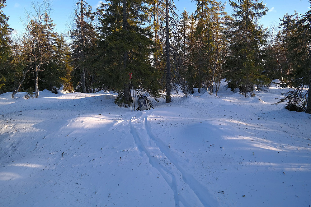 07.02.2015 - Høyeste punkt på Rognkleivåsen (600) er sånn ca der hvor stavene og sekken står.