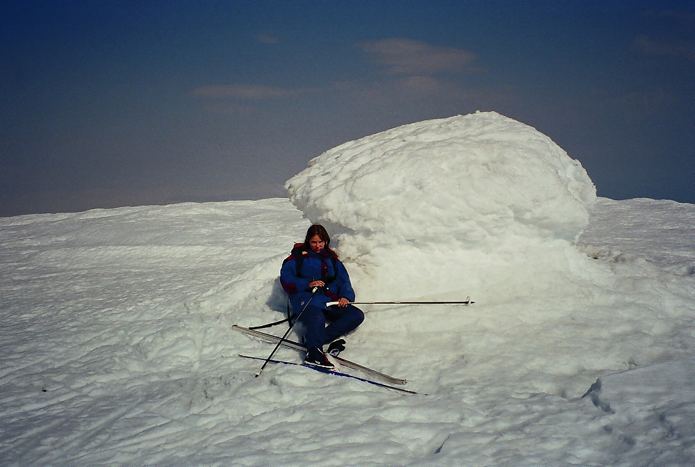 30.04.2000 - Grete på toppen av Storivilen/Lomseggje (2068).
