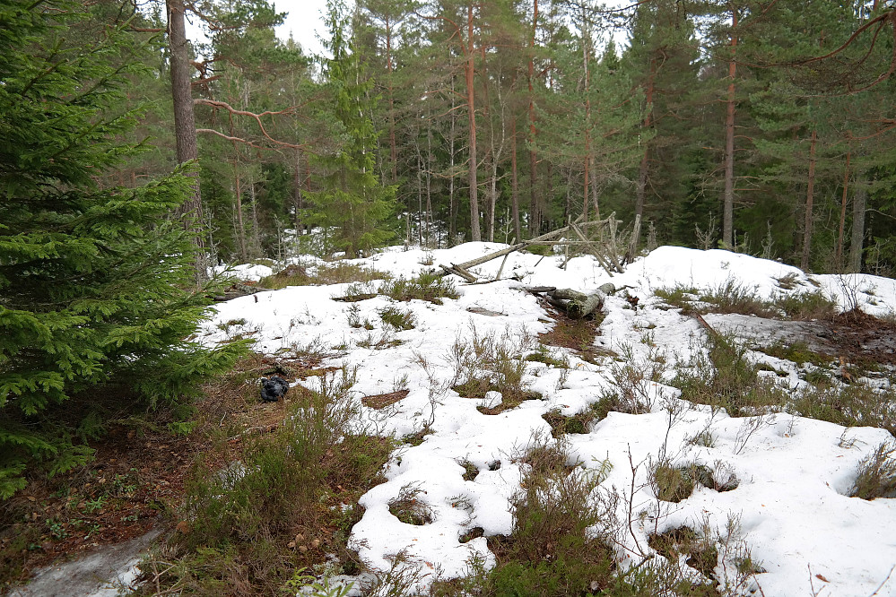 18.02.2015 - På toppen av Furuåsen (164) i Oppegård kommune. Det er en stund siden man har kunnet klatre opp i tårnet som en gang sto der...