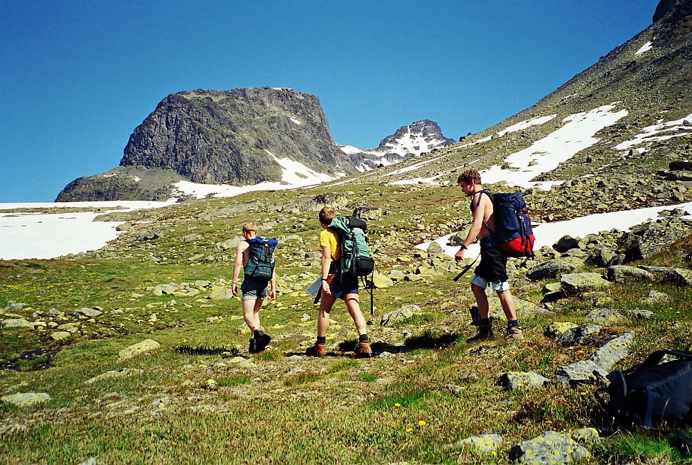 22.07.2000 - Vandring oppover Langedalen. Bak til høyre ruver Mesmogtinden (2264), vårt hovedmål denne dagen.