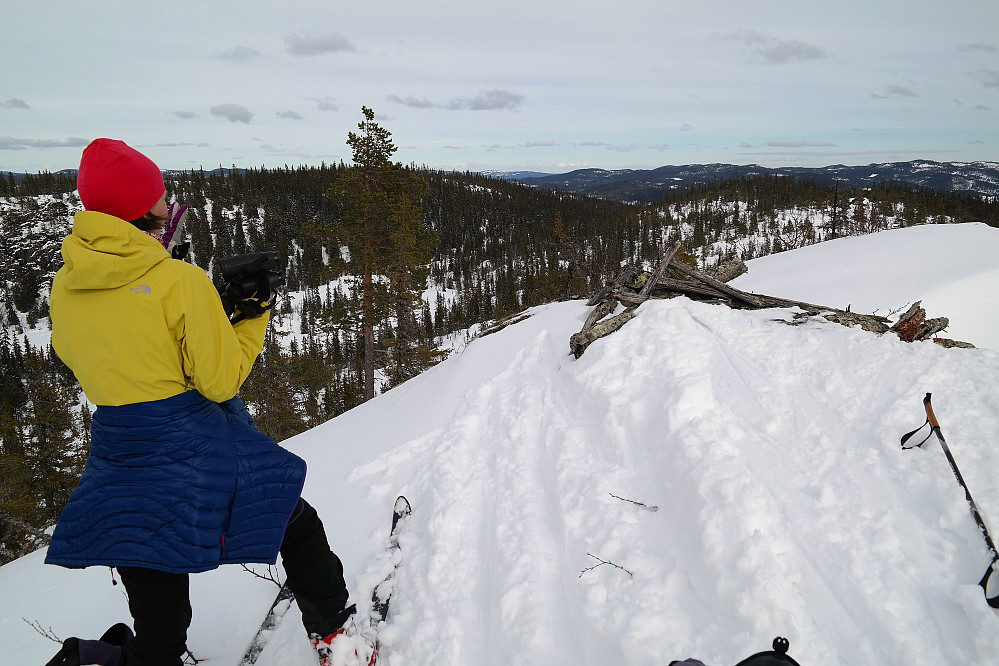 28.03.2015 - Julia på toppen av Haustsæterfjellet (881). Utsikt mot nordøst.