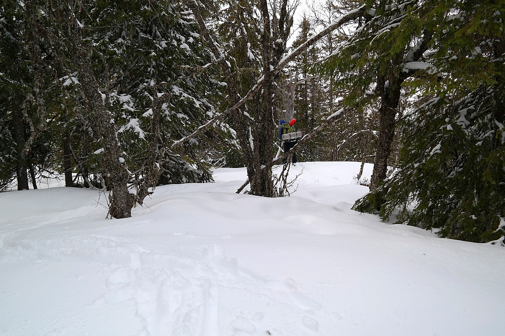 28.03.2015 - Morten skraper av klabber på skiene på toppen av Karlshaugatn (880). Ikke mye utsikt å skryte av herfra...