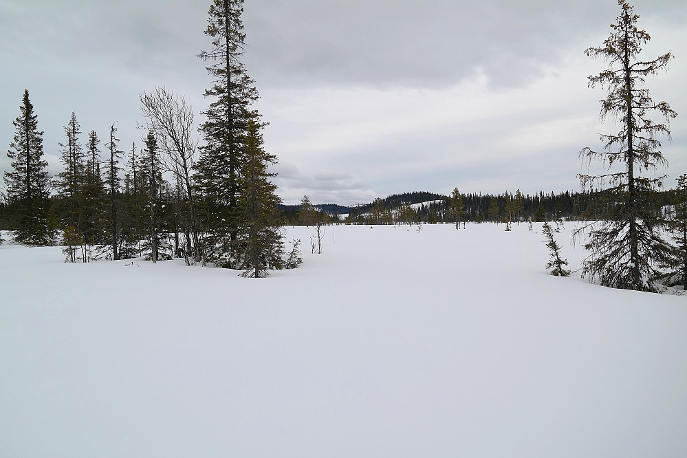 28.03.2015 - På myrene ved Flætjernet. I det fjerne ses så vidt den snaue toppen på Haustsæterfjellet (881), ganske så midt i bildet.