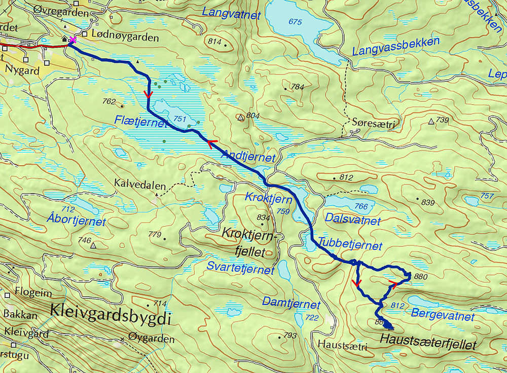28.03.2015 - Den tykke, mørkeblå streken er ruta vi gikk. Det rosa krysset oppe til venstre viser hvor vi parkerte. (Kartkilde: www.norgeskart.no)