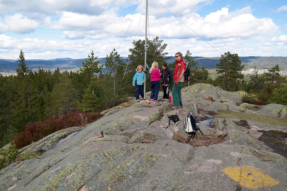 26.04.2015 - På toppen av Nordre Kolsås (379). Utsikt nordover.
