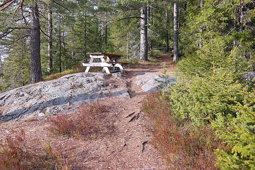 01.05.2015 - En av flere benker på stien til Nynabben (443). Her kun få meter sør for toppen.
