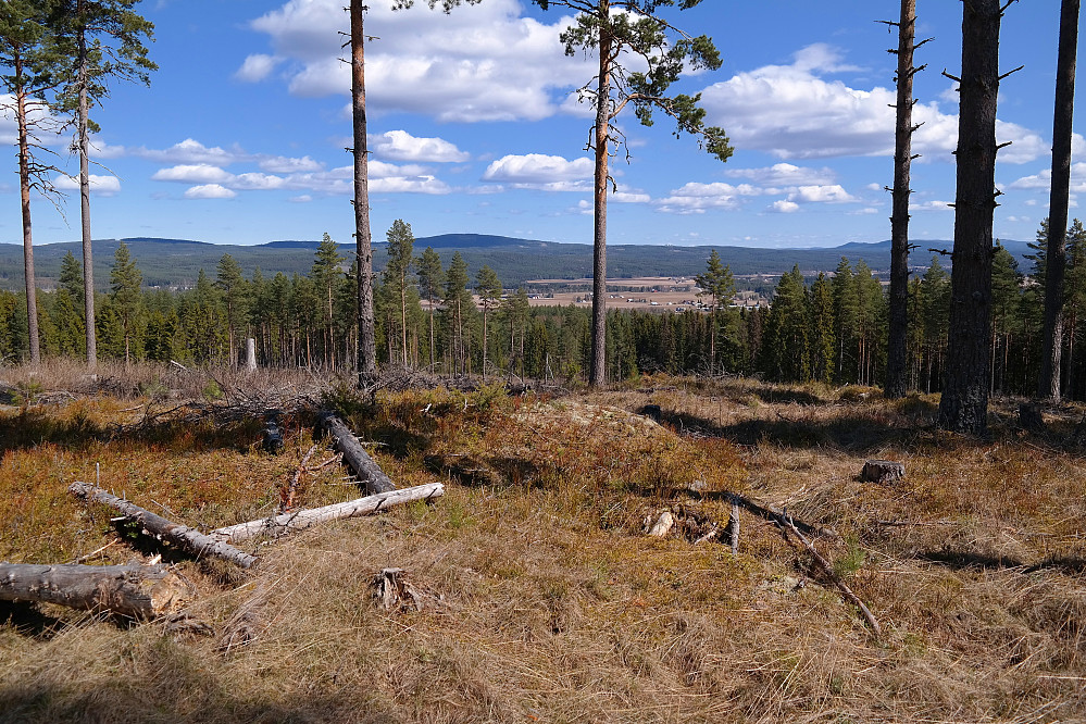 03.05.2015 - Utsikt østover fra Gjesåsberget Sør (325). Midt i bildet ses Storberget (552). Nydelig vårvær, med smak av sommer!