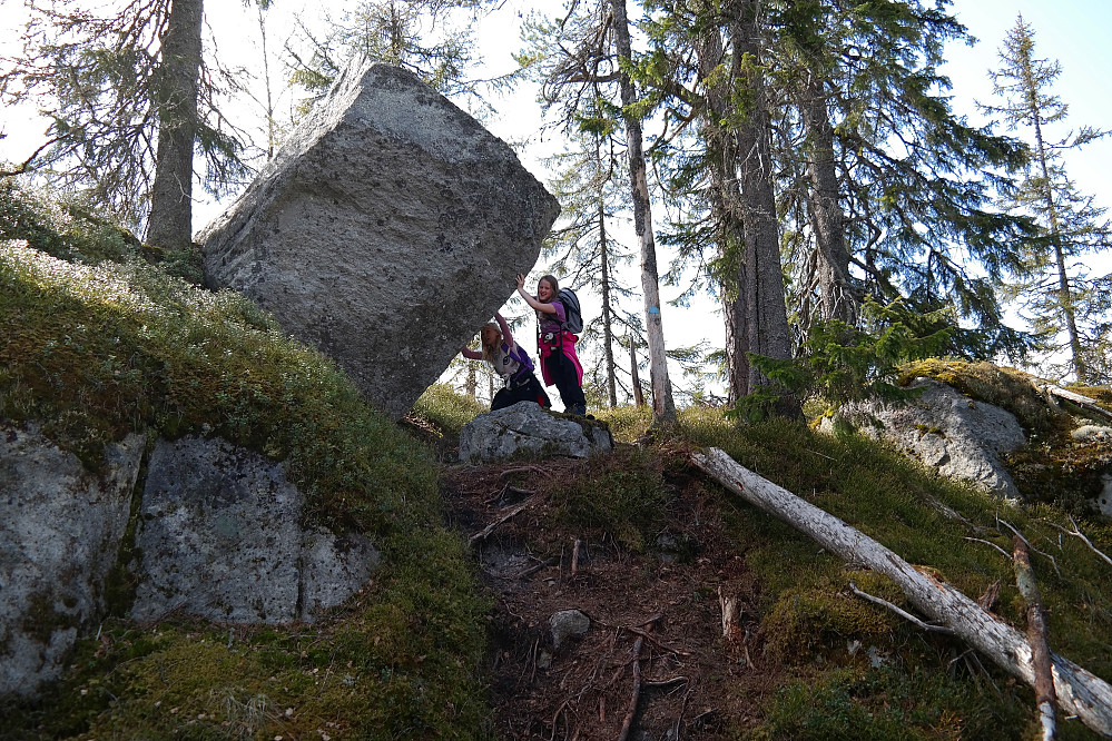 23.05.2015 - Jentene rydder stien for stein så vi pappaene kunne komme fram...