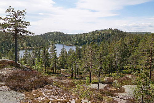 13.06.2015 - Utsikt over vannet Lårvika.
