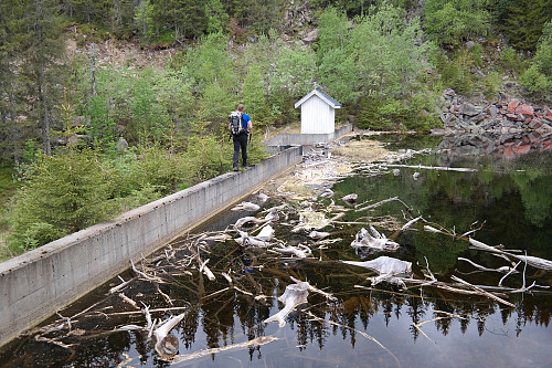 13.06.2015 - Morten spaserer over demningen i sørenden av vannet Store Nykjua.