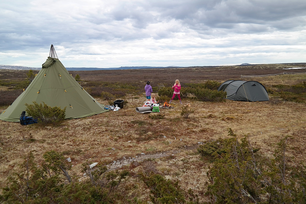 20.06.2015 - Vår basecamp ved Saubu, på fjellet mellom Ringebufjellet og Goppollen.