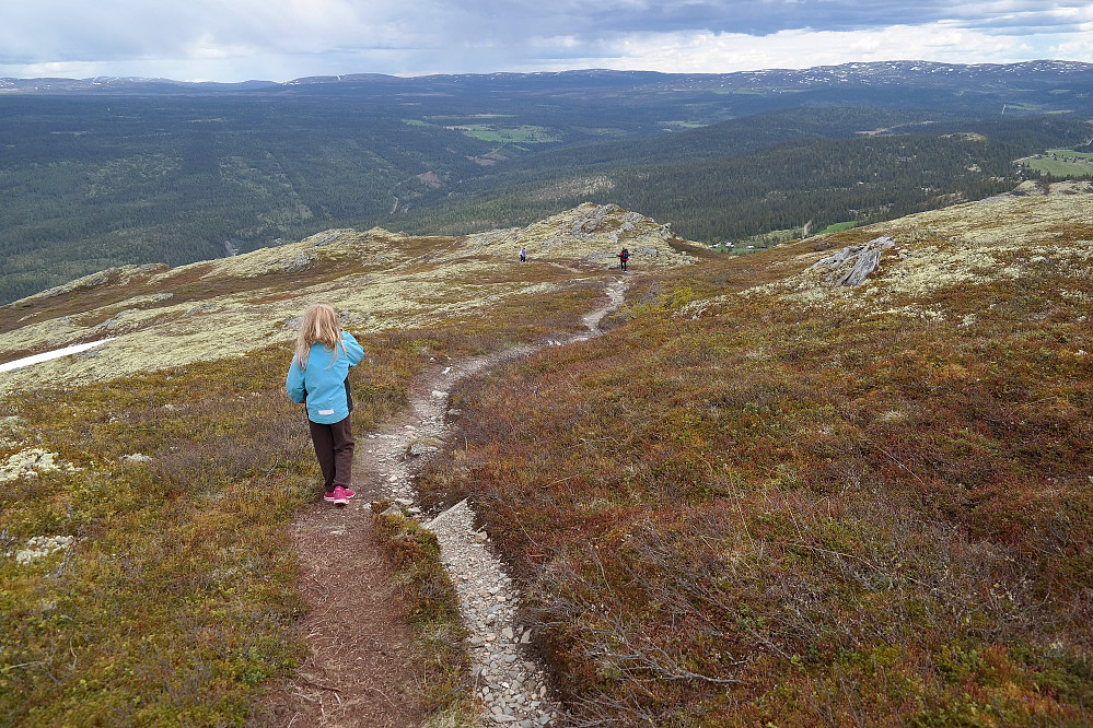 21.06.2015 - Vi vandrer nedover stien nordøst for toppen av Svangkampen (1149).