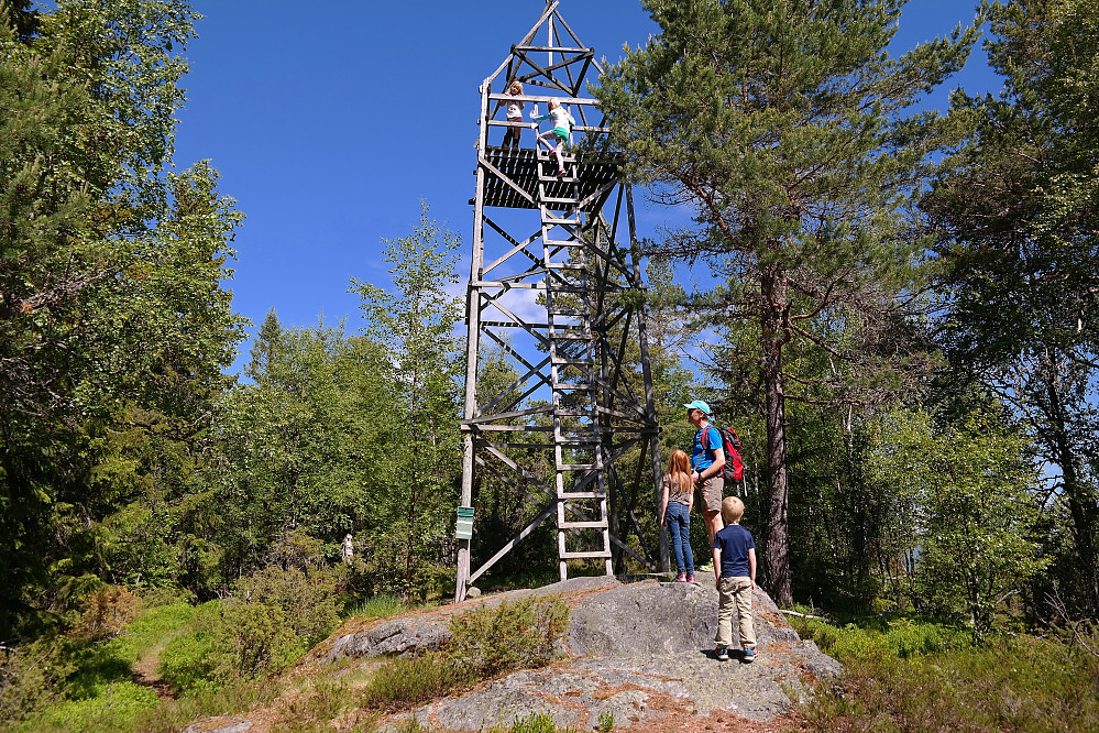 27.06.2015 - Tårnet på toppen av Skuterudseteråsen (484).
