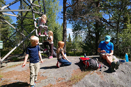 27.06.2015 - Lunsj på toppen av Skuterudseteråsen (484).