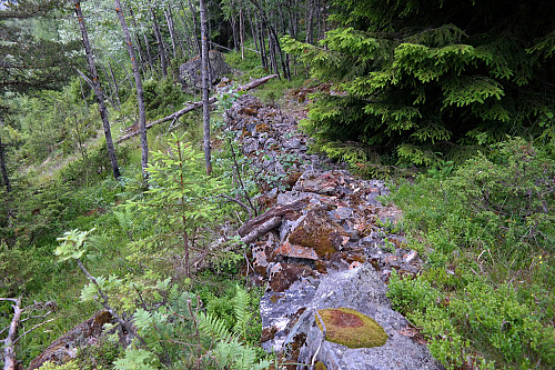 28.06.2015 - Oppe i nordøstsiden på Grasåsen/Svartskurdåsen møtte jeg plutselig en oppbygd sti. Den var bygd opp med steiner, og det var mange, mange år siden det ble gjort.