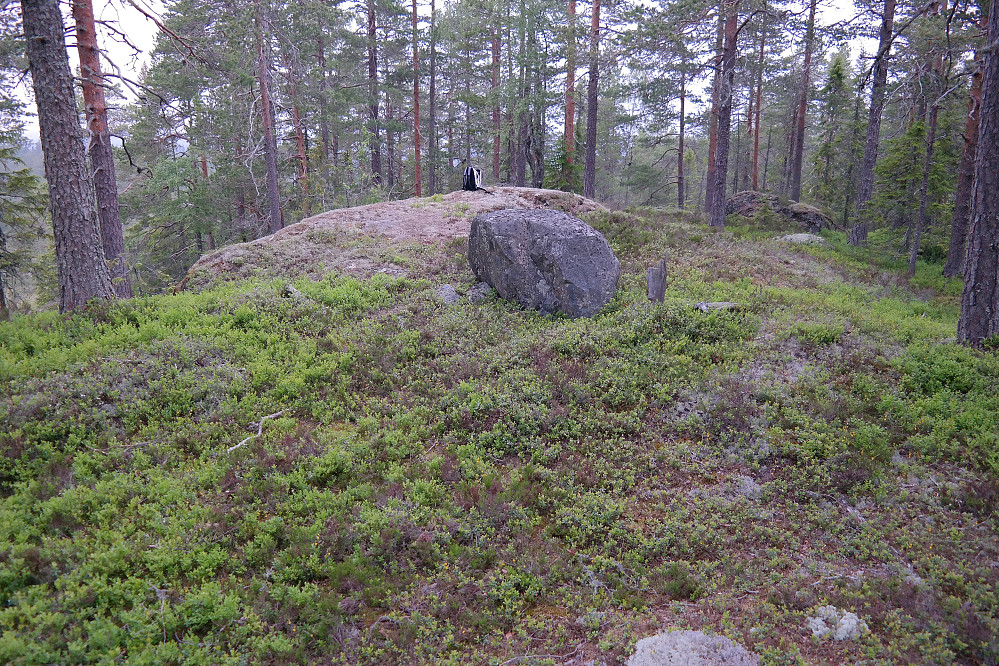 28.06.2015 - På Svartskurdåsen (527), den nybakte, røde nålen. Noen desimeter høyere enn Grasåsen Nordøst. Noe utsikt vestover her, men knott og mygg gjorde at jeg var rask med å komme meg videre. Her var klokken blitt 21:42.