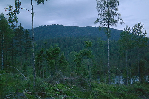 28.06.2015 - I nordsiden på Frågåttåsen (414), litt ovenfor Kroktjern, som ses nede til høyre. Mot Svartskurdåsen (527) i tussmørket. Klokken er her 23:06.