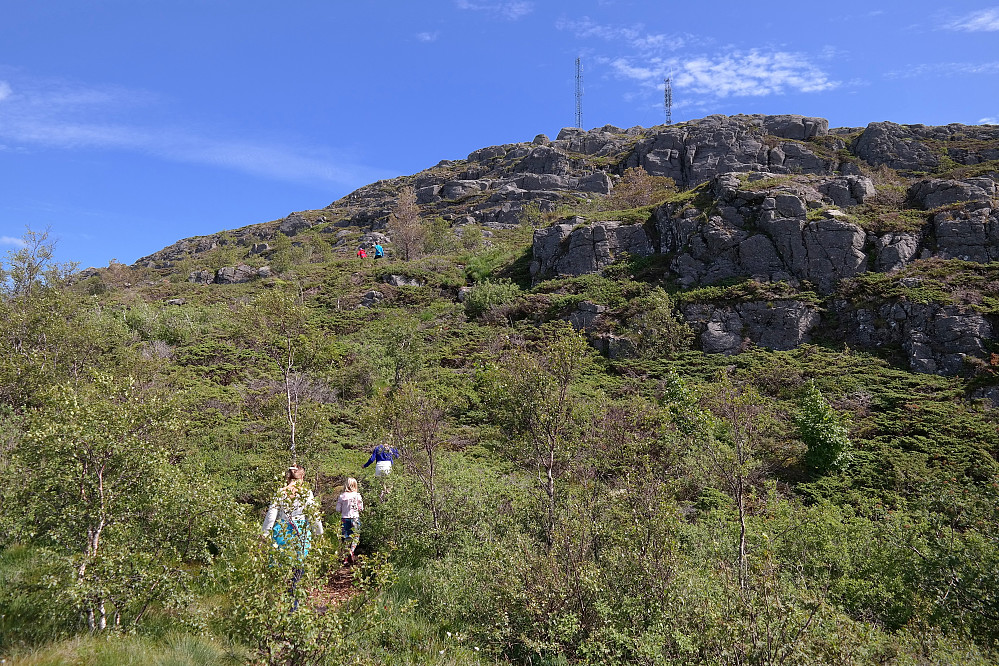 17.07.2015 - Endelig over den høyeste skogen og toppen dukker opp. Litt småknausete oppover herfra, men det var bare moro.