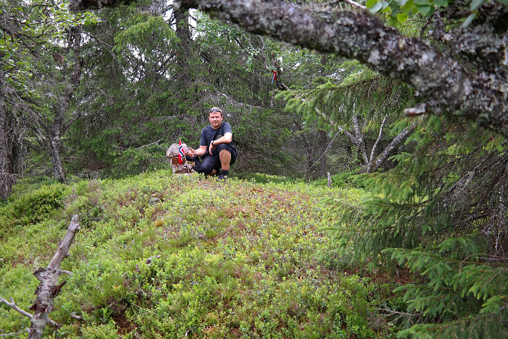 31.07.2015 - På toppen av Søndre Fjellsjøhøgda, med flagget til Otto og Inger Lise som et fargerikt innslag i den grønne skogen.