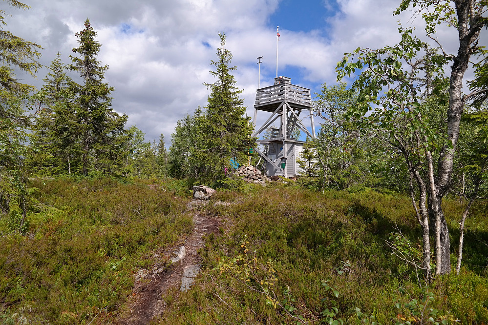 31.07.2015 - Tårnet på Årkjølen (641) sett fra stien når man kommer sørfra.