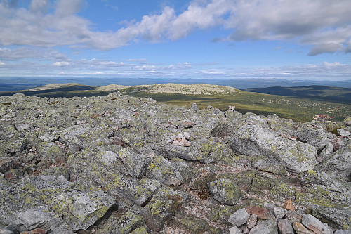 01.08.2015 - Utsikt mot nordvest fra Trysilfjellet (1132).
