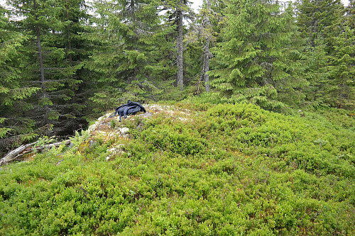 02.08.2015 - Toppunktet på Nordberget (683), markert med en bolt i fjellet rett til høyre for ryggsekken.