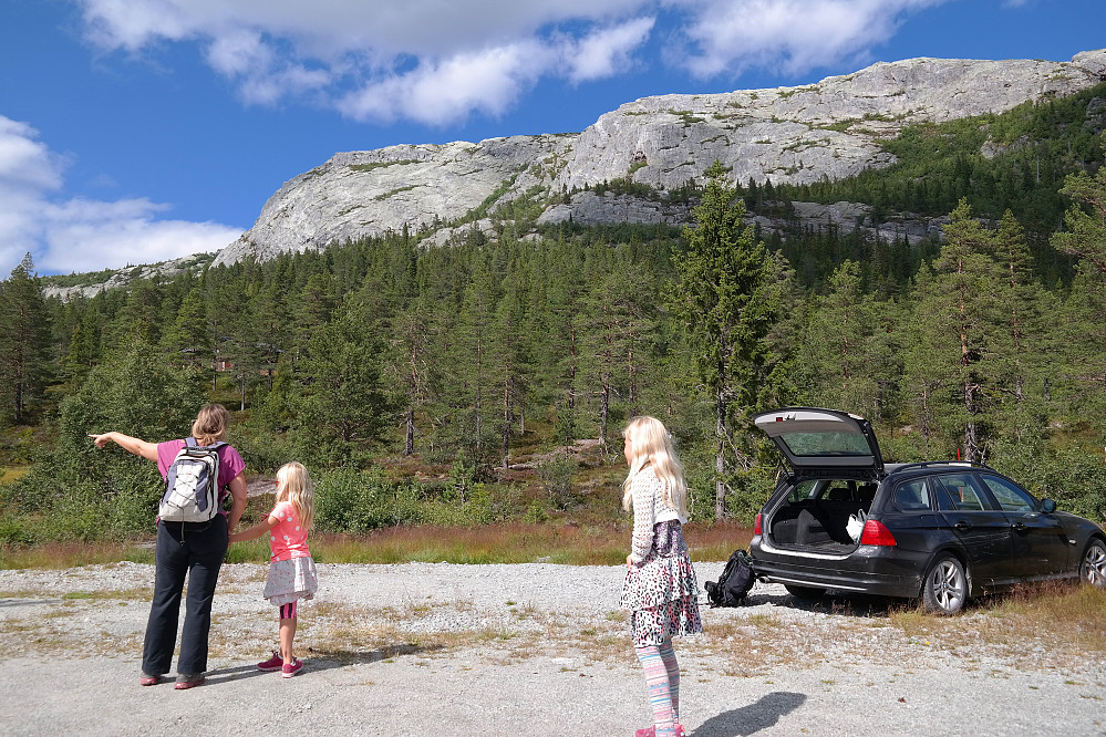 08.08.2015 - Himingen (1066) ruver i bakgrunnen fra parkeringen øst for Himingtjønn. Vi gikk oppover i skogen midt i bildet.