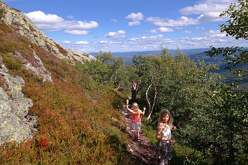 08.08.2015 - Vi vandrer østover på stien langs nedre kant på den steile bergveggen på Himingens topprygg.