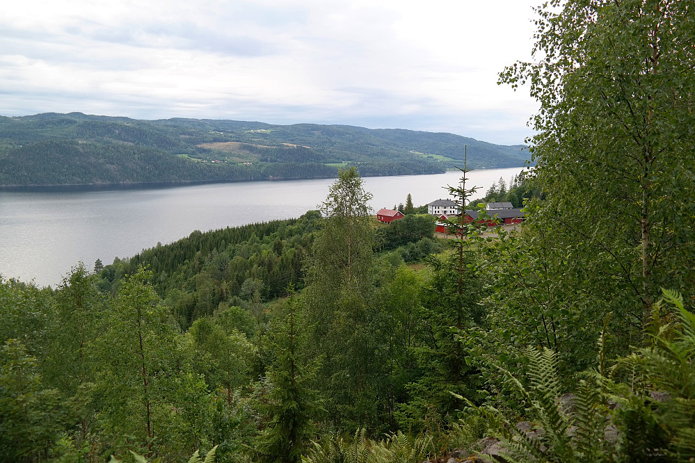 16.08.2015 - Jeg er på vei opp skråningen fra Fv 285 (Ringeriksveien) og har nådd stien som er på kartet. Gården Toverud ses til høyre. På andre siden av Holsfjorden ligger Øverskogen oppe i lia.