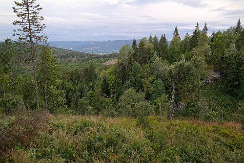 16.08.2015 - Jeg står litt nord for toppen av Gampen (450) og ser mot sørvest. Noe av Lierdalen kan ses litt til venstre, med Finnemarka bakenfor.