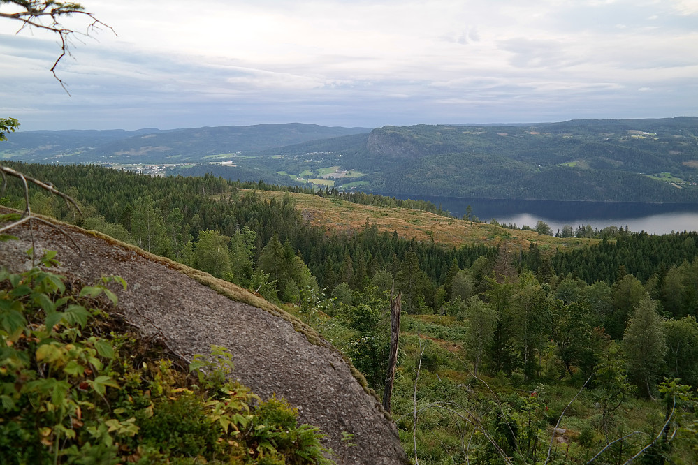16.08.2015 - Jeg står rundt 250 m nordvest for toppen av Vesle Rennaren (442), ovenfor en bratt skrent. Utsikt vestover. Holsfjorden nede til høyre. Den bratte fjellskrenten midt i bildet er Hørtekollen (478). Noe av bebyggelsen i Sylling kan ses til venstre.