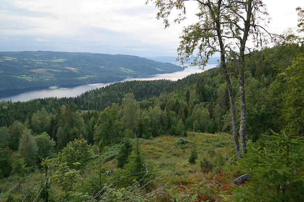 16.08.2015 - Jeg står rundt 250 m nordvest for toppen av Vesle Rennaren (442), ovenfor en bratt skrent. Utsikt mot nordvest. Holsfjorden nede til venstre med Tyrifjorden lenger bak til høyre.