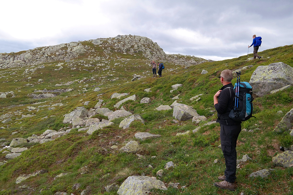 29.08.2015 - Toppen på Sørbølfjellet (1284) nærmer seg. Toppvarden med trestokken skimtes helt øverst.