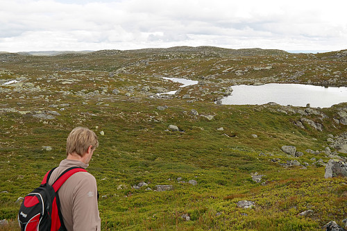 29.08.2015 - Lars på vei mot Sørbølfjellet Sørøst (1280), som ses bak midt i bildet.