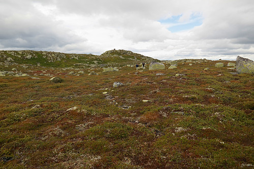 29.08.2015 - Tilbakeblikk mot Sørbølfjellet (1284) under vandringen mot Sørbølfjellet Sørøst (1280).