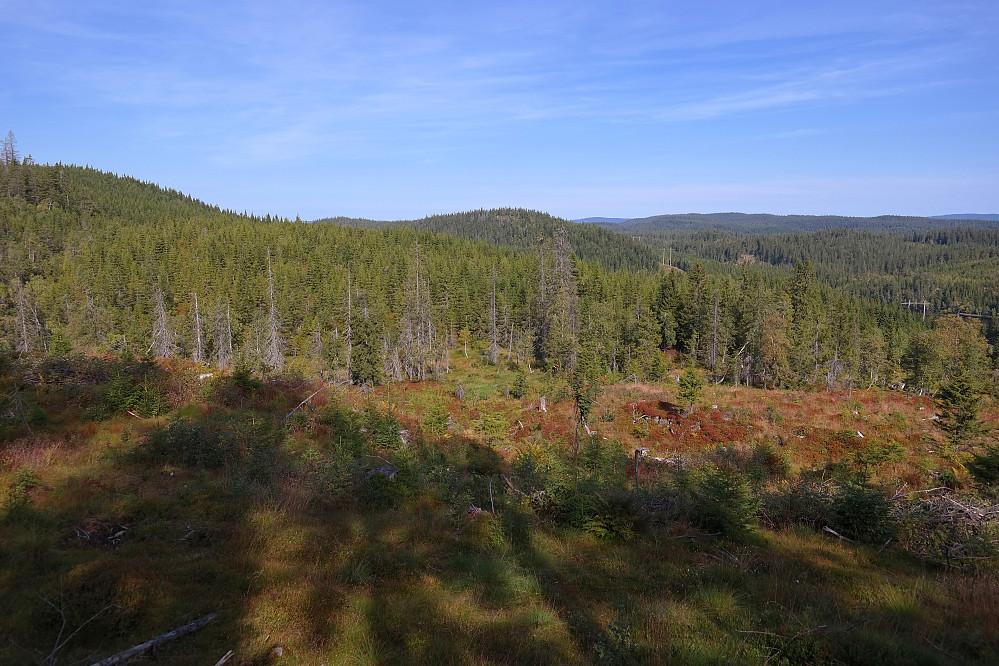 09.09.2015 - Åsen midt i bildet er Piperberget Sør (609). Sett fra stien som går øst for toppen av Paradiskollen (670).
