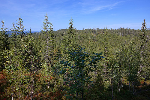 09.09.2015 - Nordover mot Piperberget (610). Det hvite tårnet bak til venstre er Solobservatoriet.