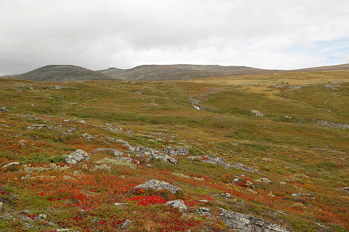 18.09.2015 - Mot dagens hovedmål, Dyrtjørnhøe (1687), den midterste toppen til venstre i bildet.