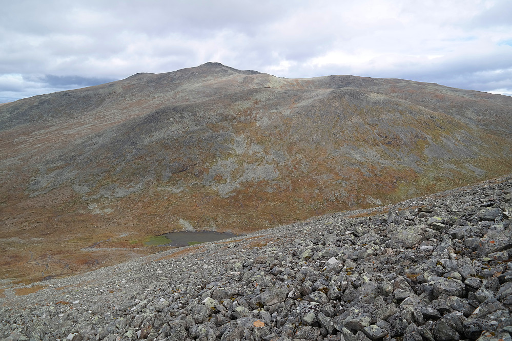 18.09.2015 - Jeg er på vei ned til Tjørnosdalen fra Griningsdalshøe (1568). Bak venter Dyrtjørnhøe (1687).