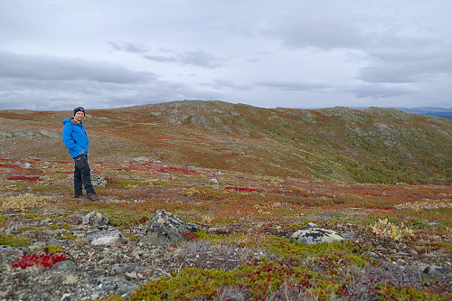 20.09.2015 - På Buforhøe (1172). Bak er Veslvassfjellet (1192), bare 500 m unna.