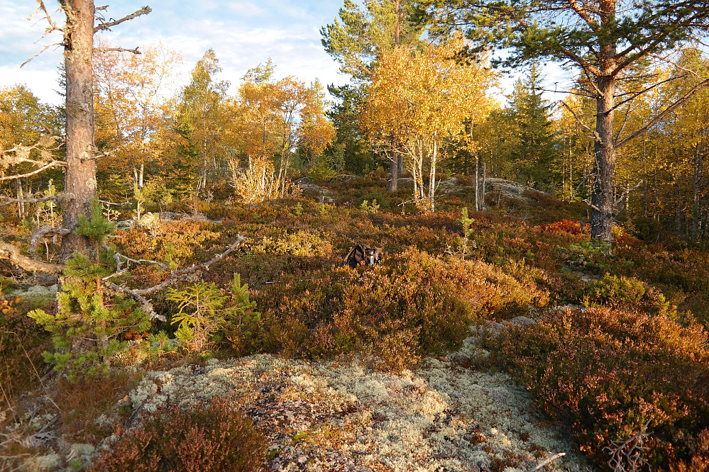 28.09.2015 - Jeg står på Slottet (576), på det som er markert som høyeste punkt på økonomisk kart. Litt lenger bak i skogen, rett bak sekken, virker det ennå litt høyere.