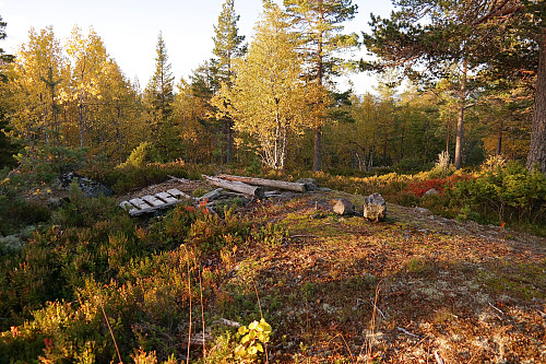 28.09.2015 - Trig.punktet på Slottet, som står oppført med høyden 573 moh. Metallbolten ses ved de to steinene litt til høyre.