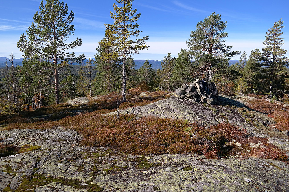 28.09.2015 - Lårbuåsen (703) var en fin skogstopp med noe utsikt mellom trærne.
