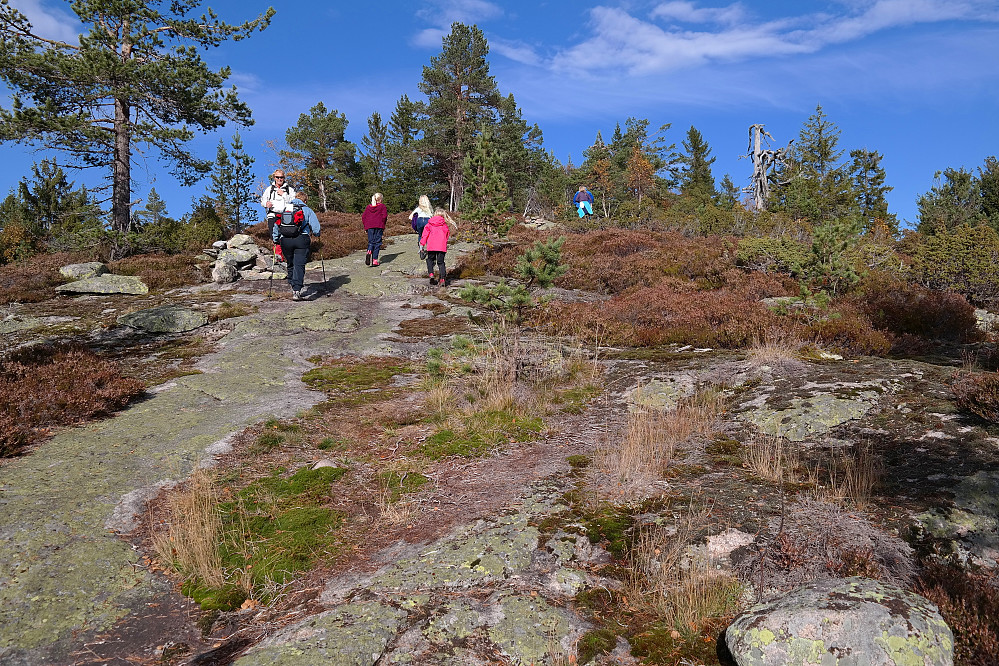 04.10.2015 - Siste bakken mot Vestfjellet (634) fra sør.