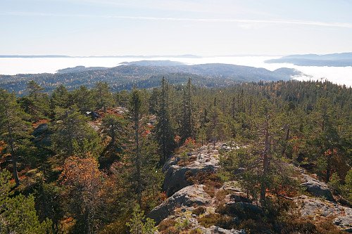 14.10.2015 - Mot sørøst fra toppen av tårnet på Nattjennåsen (643). Gapahuken som jeg også besøkte, ses blant trærne til venstre.