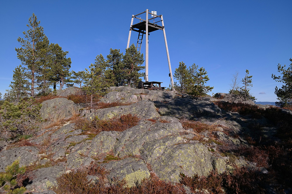 14.10.2015 - Fantastisk høstvær på toppen av Nattjennåsen (643).