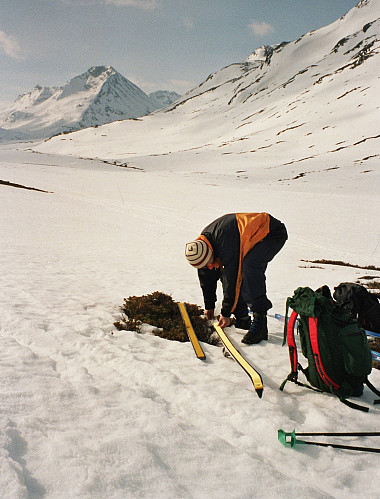 06.04.2002 - Vi legger på skifellene i Visdalen.