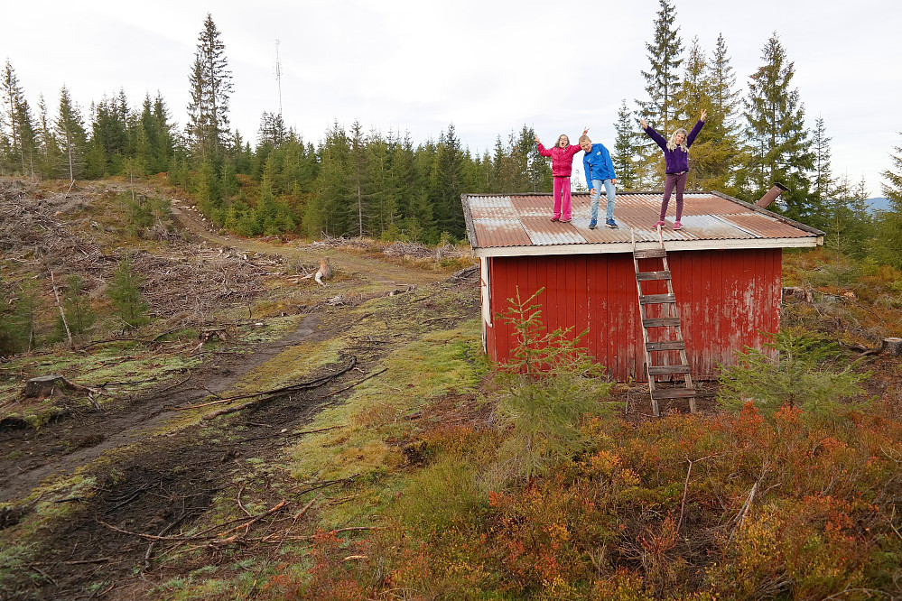 01.11.2015 - Ungene fikk nok en bestigning her, på stien mellom Kraftkollen (481) og Glasåsen Nord (474). Sistnevnte topp er bare litt utenfor bildet til venstre.