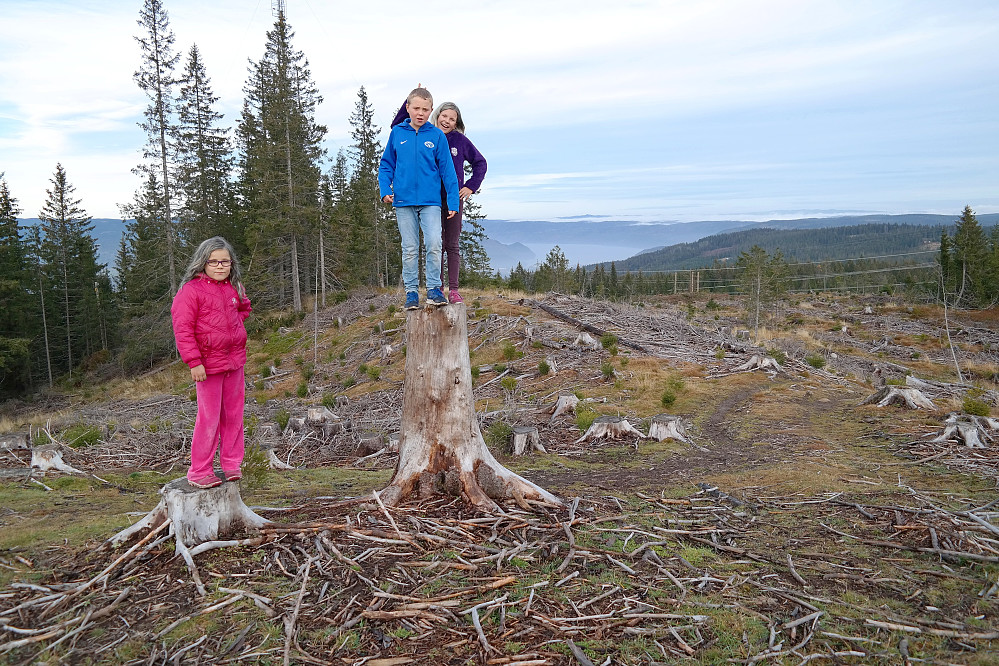 01.11.2015 - Helt til topps på Glasåsen Nord (474). Det store hogstfeltet gjør at man nå har god utsikt derfra. Bak ses blant annet Holsfjorden, som er en del av Tyrifjorden.