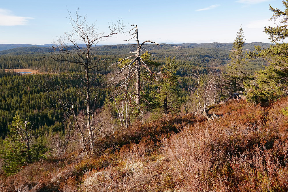 02.11.2015 - Vest på Bukkehøgda, like nord for Skotjernfjellet (651), er det god utsikt vestover. Bildet tatt mot nordvest. Lengst til høyre ses Nordre Korsvatnhaugen Øst (614), som var mitt neste mål denne dagen.